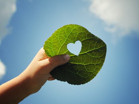 Hand hält Blatt in die Luft, welches ein Loch in der Mitte in Form eines Herzen hat