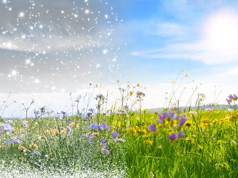 Jetzt Heizungsservice bestellen! Denn beim Wetter ist einfach alles möglich! | © bösch heizung.klima.lüftung